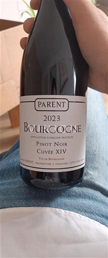 Borgogna Parent XIV 2023