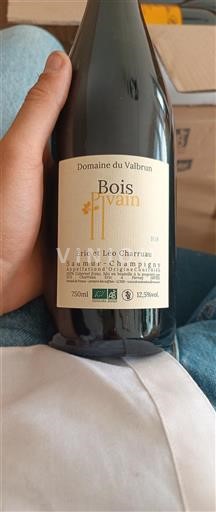 Vallée de la Loire Saumur-champigny Domaine Valbrun Bois Pluvain 2023