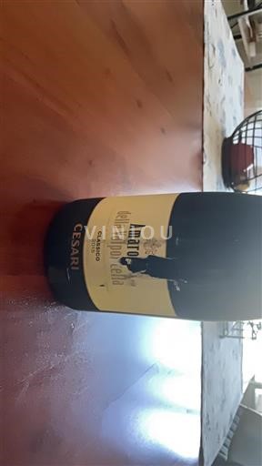 Benátsko Amarone della Valpolicella Cesari 2015