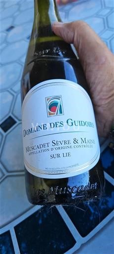 Valle della Loira Muscadet Sèvre et Maine Domaine Des Guidors 2023