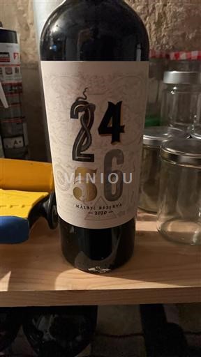 Mendoza Ni doloceno Malbec Reserva 2020
