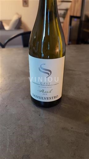 Piemont Gavi Sansilvestro Fossili 2024
