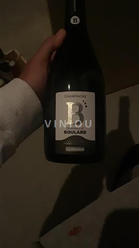 Champagne Dominique Boulard Les Marnières Ikke årgangsbestemt
