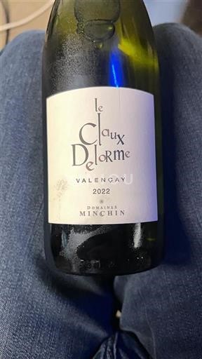 Valle della Loira Valençay Domaine S Minchin Le Claux Delorme 2022