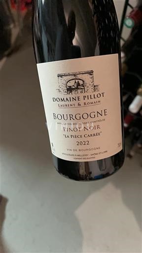 Burgundija Domaine Pillot La Pièce Carrée 2022
