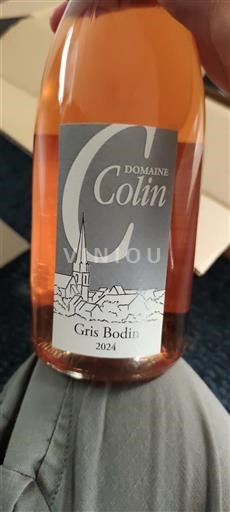 Valle della Loira Coteaux del Vendômois Domaine Colin Gris Bodin 2024