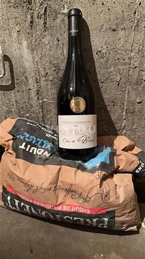 Valle della Loira Saumur Puy-Notre-Dame Clos de Bessaye 2023