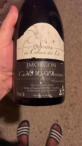 Beaujolais Morgon Domaine Coteau des Lys La Doyenne 2009