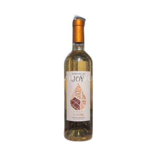 South West Côtes de Gascogne Domaine Joÿ St. André 2020