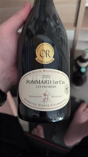 Borgogna Pommard Premier Cru Domaine Coste-Caumartin Les Fremiers 2020