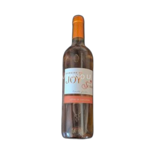 South West Côtes de Gascogne Domaine Joÿ St. André 2019
