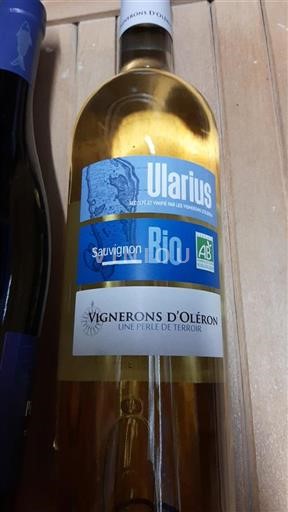 Sydvestfrankrig Ikke specificeret Vignerons Oléron Illarius 2023