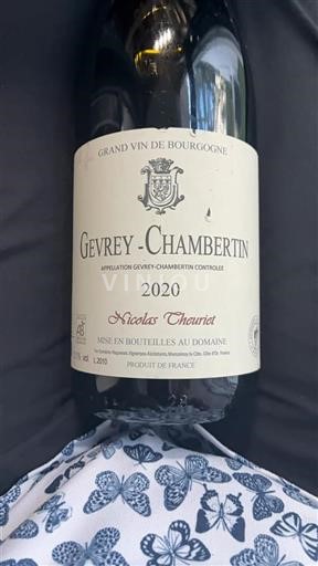 Bourgondië Gevrey-Chambertin Nicolas Theuriet 2020