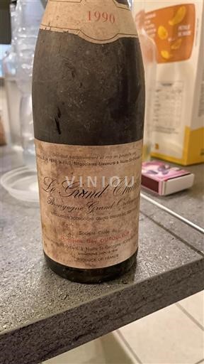 Bourgondië Niet gespecificeerd Domaine Gay Dufouleur Le Grand Chambert 1990