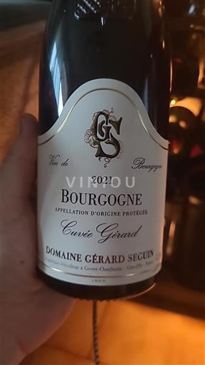 Bourgogne Domaine Gérard Seguin Gérard 2021