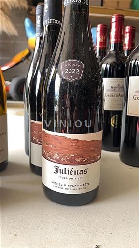 Beaujolais Juliénas Domaine Clos du Fief Clos du Fief 2022