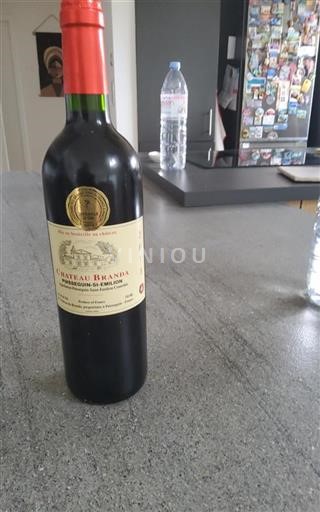 Bordeaux Puisseguin-saint-émilion Château Branda 2013