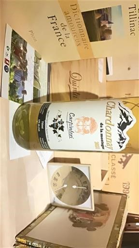 Quebec Unspecified Carpinteri Chardonnay de la montagne 2021
