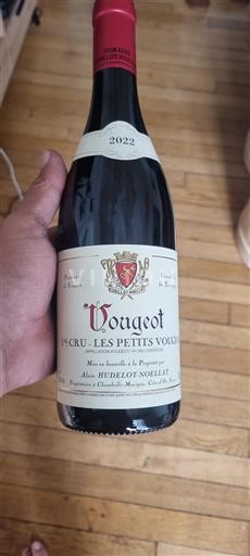 Burgundsko Vougeot Premier Cru Domaine Hudelot-Noellat Les Petits Vougeot 2022