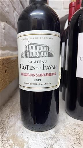 Bordeaux Puisseguin-saint-émilion Château Côtes du Fayan 2019