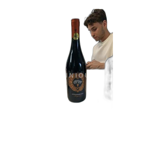 Emilie-Romagne Rubicone Caviro Sangiovese Rubicone 2021
