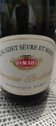 Valle della Loira Muscadet Sèvre et Maine Domaine Bregeon 2023