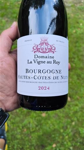 Bourgogne Domaine La Vigne au Roy 2024