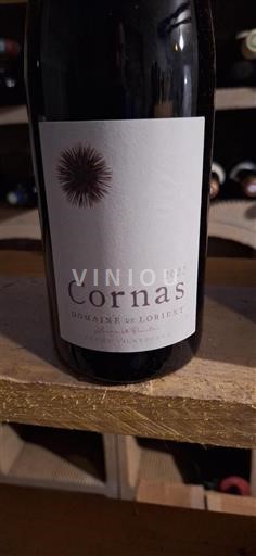 Vallée du Rhône Cornas Domaine Lorient 2022