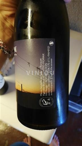 Zuidwest-Frankrijk Brulhois Vignoble Bucquet 2021