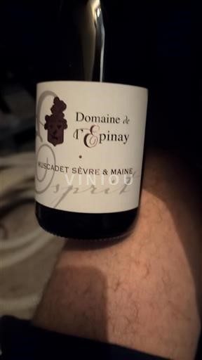 Loiren laakso Muscadet-sèvre-et-maine Domaine L'Épinay Esprit 2022