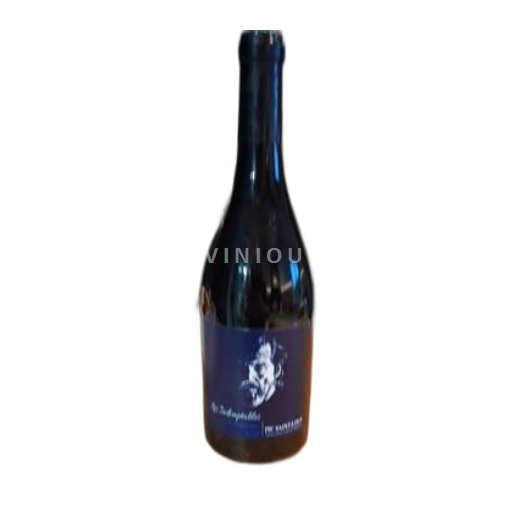 Vin Rouge sec Pic Saint-Loup 2022 France Languedoc Pic-saint-loup AOC