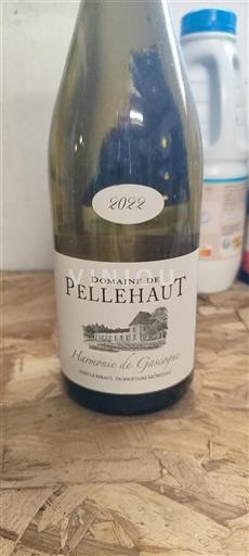 Sudoeste Côtes de Gascogne Domaine Pellehaut Harmonie de Gascogne 2022