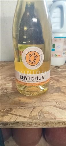 Sud-Ovest Côtes de Gascogne Domaine Uby Tortue Senza annata