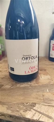 Languedoc Ikke specificeret Domaine Ortola Ôde à la Main 2020
