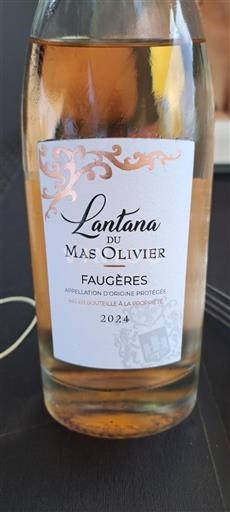 Languedoc Faugères Mas Olivier Lantana 2024