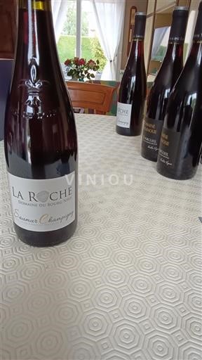 Vallée de la Loire Saumur-champigny Domaine Bourg Neuf La Roche 2024