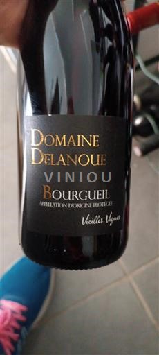 Valle della Loira Bourgueil Domaine Delanoue Vieilles Vignes 2024