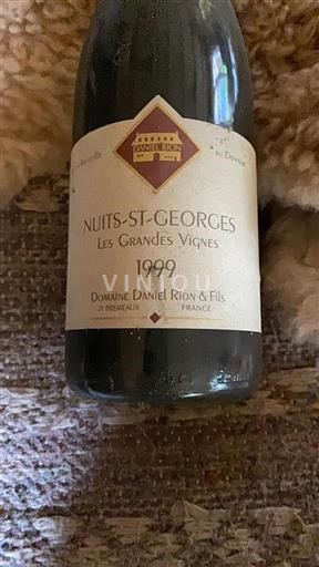 Bourgondië Nuits-saint-georges Domaine Daniel Rion & Fils Les Grandes Vignes 1999