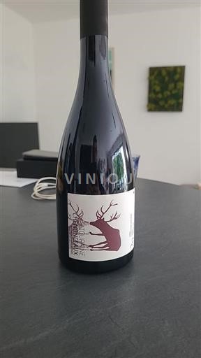 Údolí Loiry Touraine-chenonceaux Vincent Roussely 2023