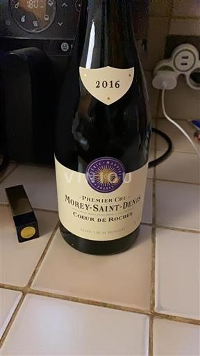 Burgundy Morey-Saint-Denis Premier Cru Frédéric Magnien Coeur de Roches 2016