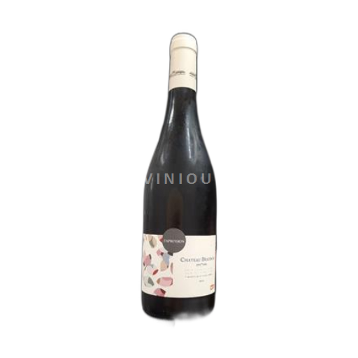 Valle del Rodano Costières di Nîmes Château Beaubois Expression 2022