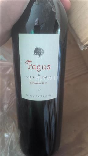 Aragonien Campo de Borja Coto de Hayas Fagus 2015