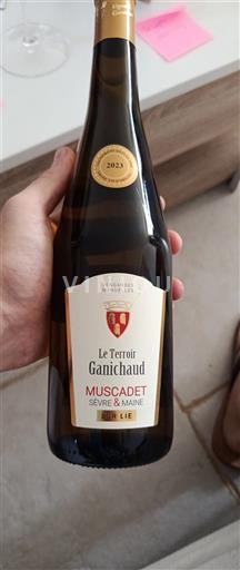 Loire Valley Muscadet Sèvre et Maine Ganichaud Le Terroir 2023