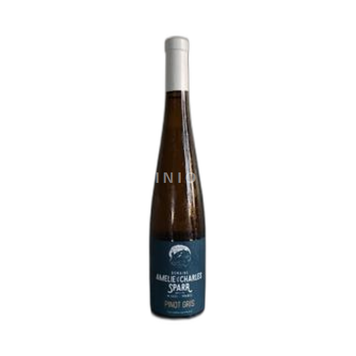 Alsazia Pinot grigio Domaine Amelie & Charles Sparr 2022