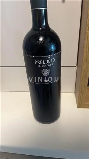 Castilien og León Ribera del Duero Sei Solo Preludio 2021