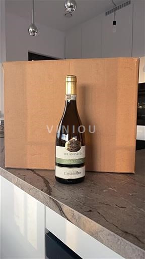 Campania Fiano di Avellino Tenuta Cavalier Pepe Brancato 2019