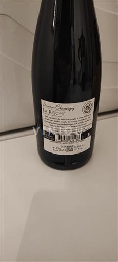 Vallée de la Loire Saumur-champigny Domaine Bourg Neuf La Roche 2024