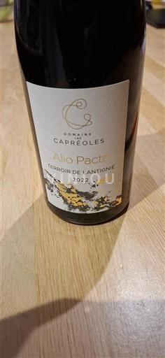 Beaujolais Régnié Domaine Les Capréoles Alio Pacto 2022