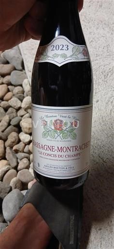 Vin Rouge sec Le Concis du Champs Gilles Bouton & Fils 2023 France Bourgogne Chassagne-montrachet AOC