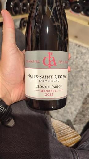 Bourgogne Nuits-Saint-Georges Premier Cru Domaine L'Arlot Clos de l'Arlot 2022